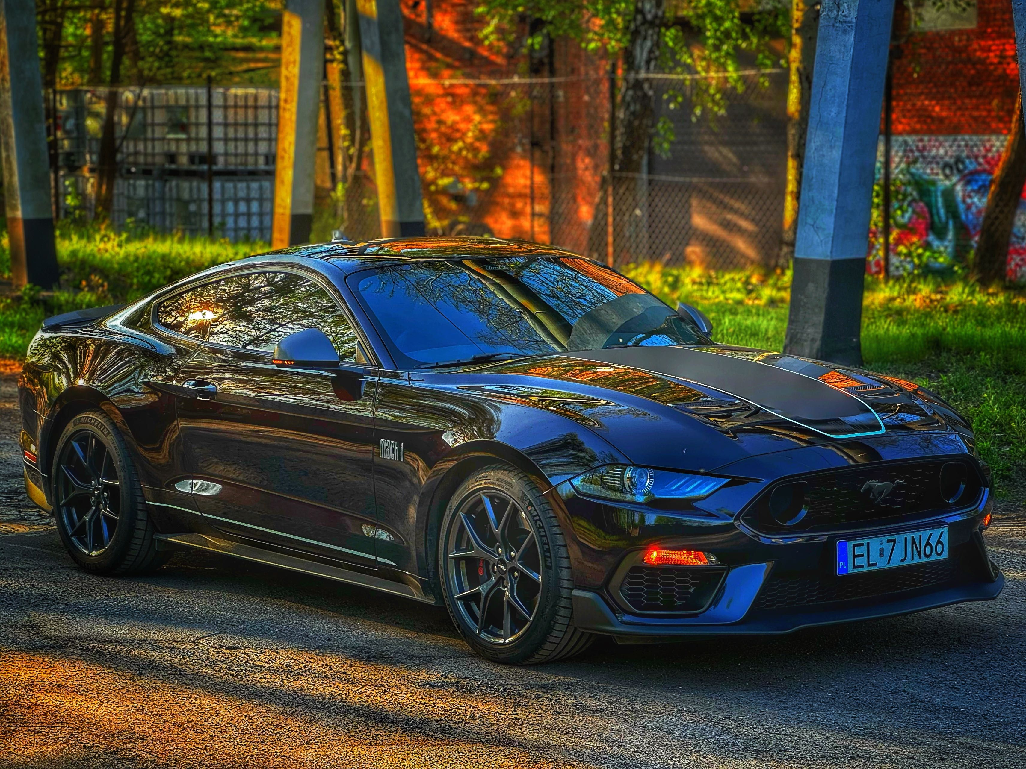 Wynajmij Legendarnego Forda Mustang Mach 1 na Twój Wyjątkowy Dzień!