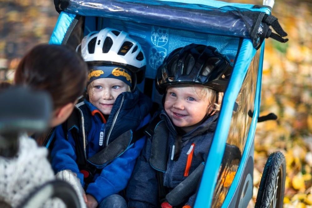 Przyczepka rowerowa Thule Coaster XT 2 dzieci