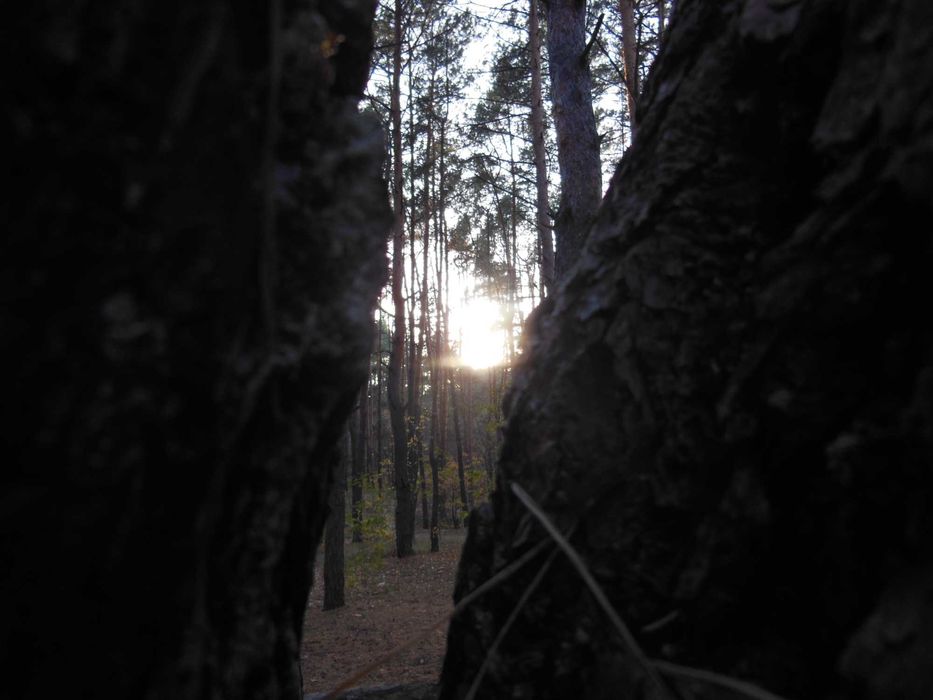 Nikon Coolpix s9300 GPS 16 Mega-pixels 18x Zoom