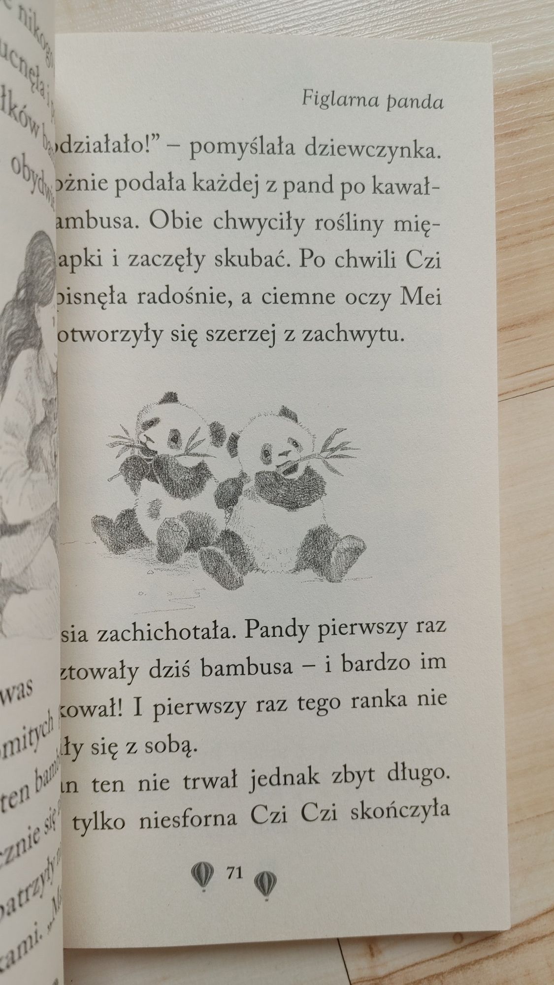 "Zosia i jej Zoo-Figlarna Panda"""-A.Cobb