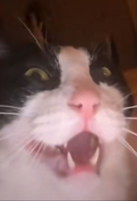 Шукаю друзів:333