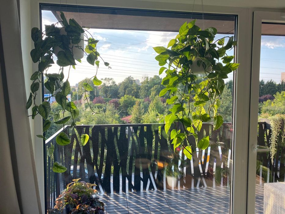 doniczka elho wiszaca recznie robiona