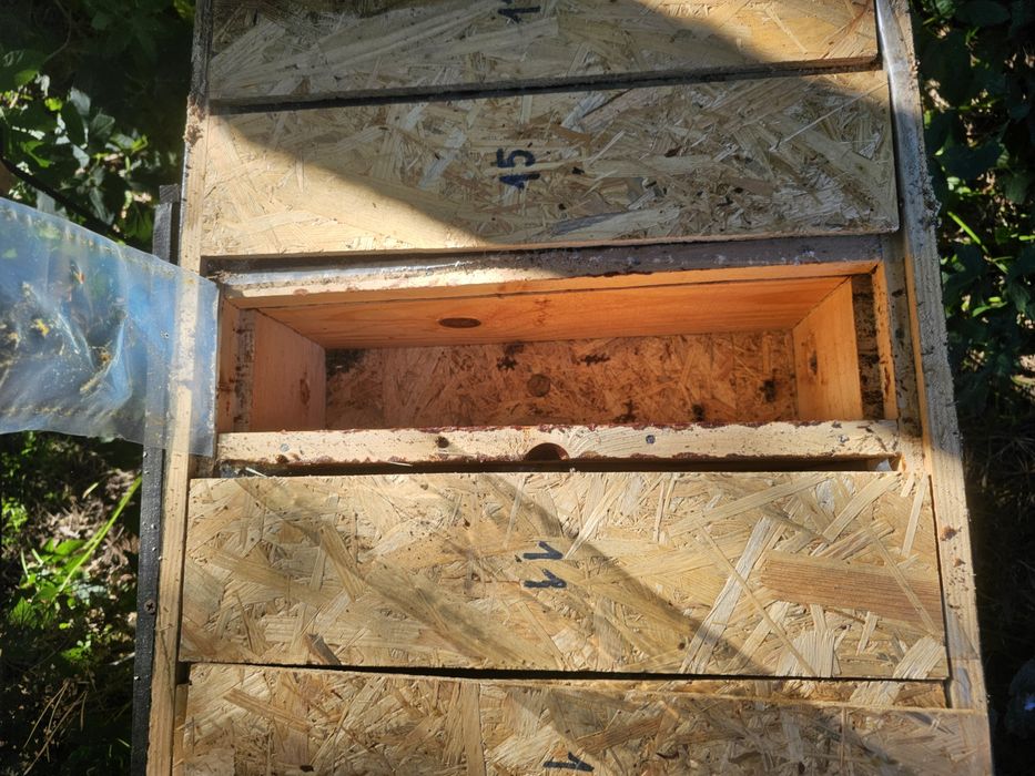 Sprzedam ulik weselny – 5-matkowy (ramka 1/2 wielkopolska