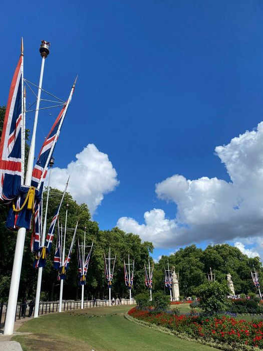 Репетитор з англійської(+медичної англ) онлайн