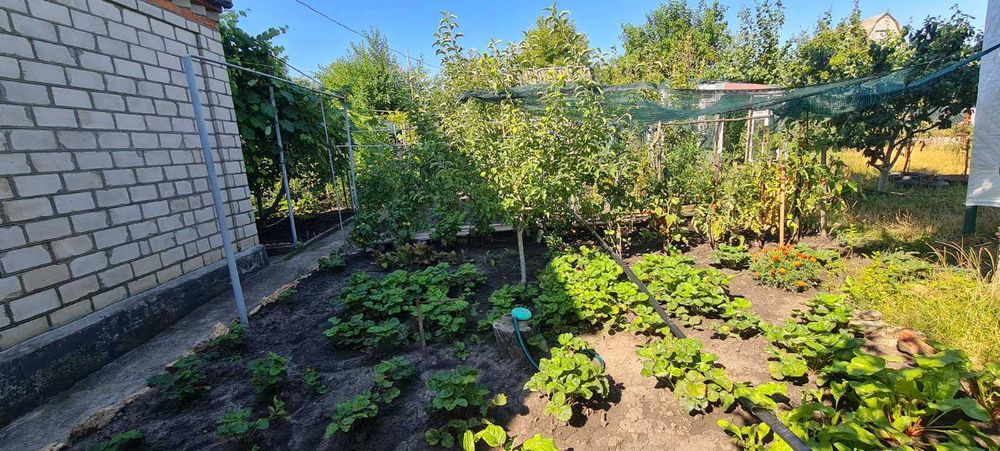 Садовий будинок у районі Цегельного Заводу