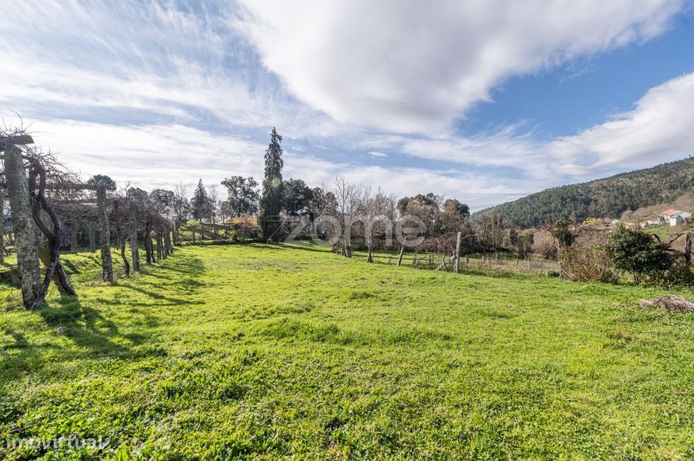 Quinta com 74.400 m2 em Penalonga, Ribeira de Pena - Vila Real