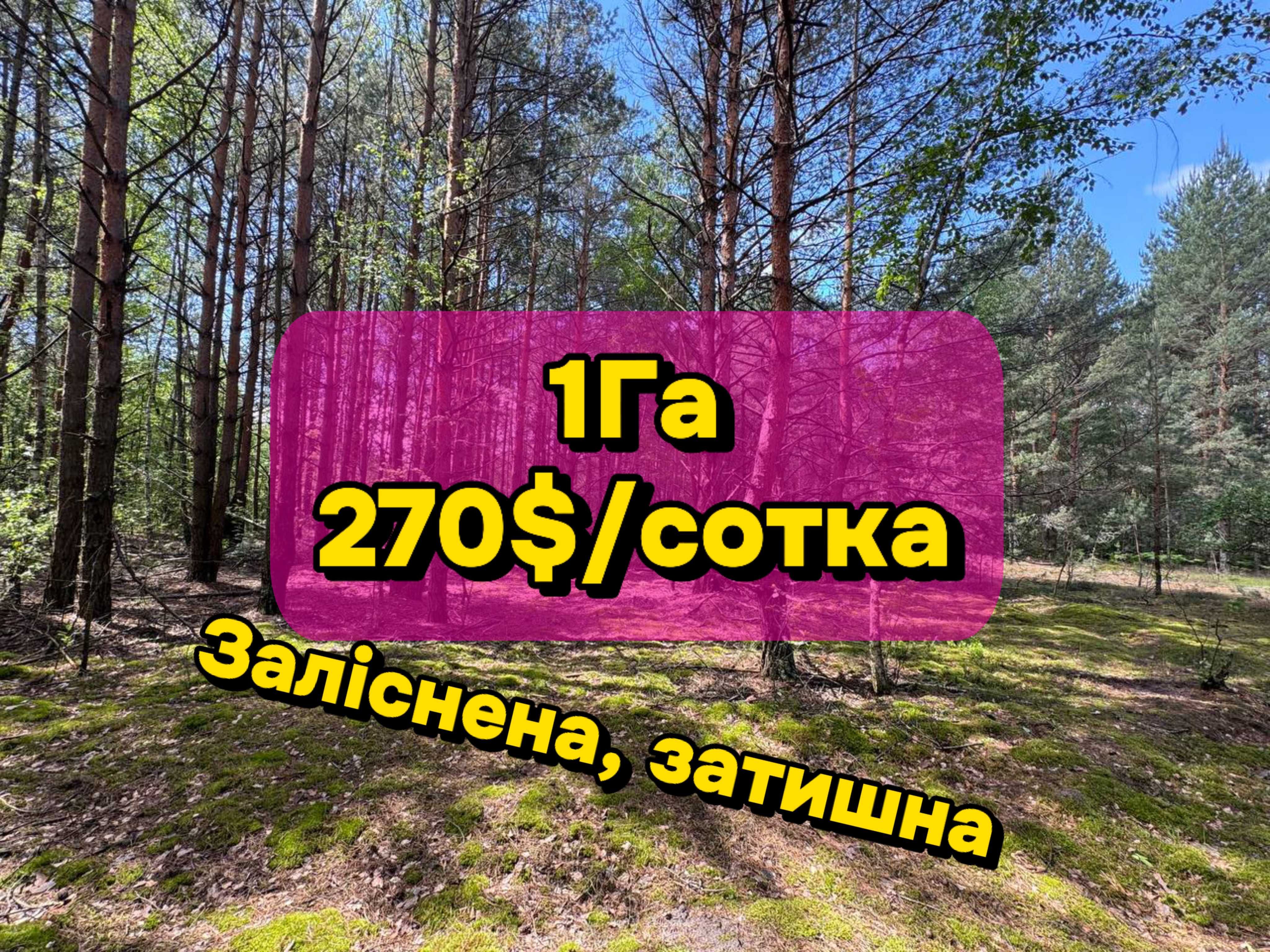 Гектар землі серед лісу! Ідеально під Базу відпочинку. Електрика