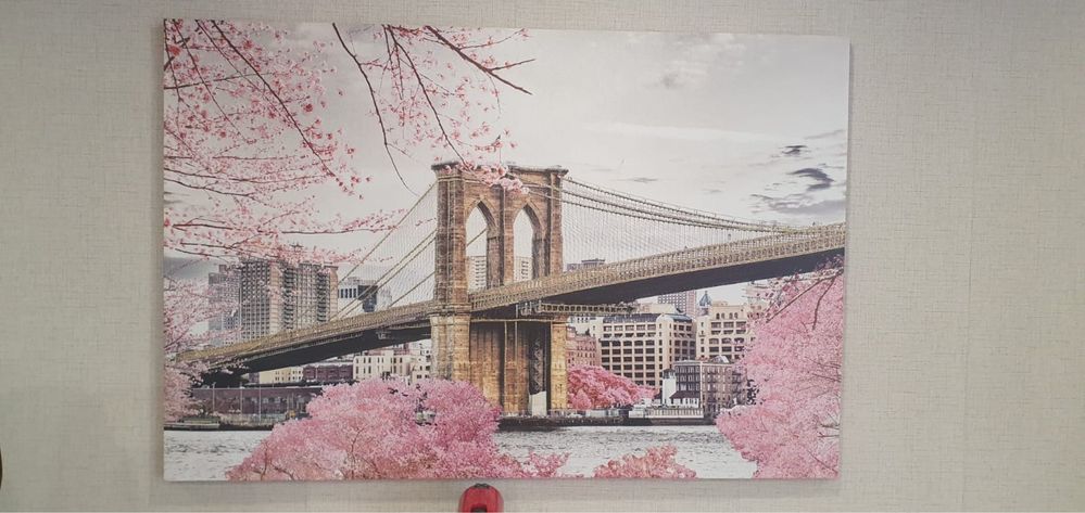 Tela rosa 1,5m x 1m