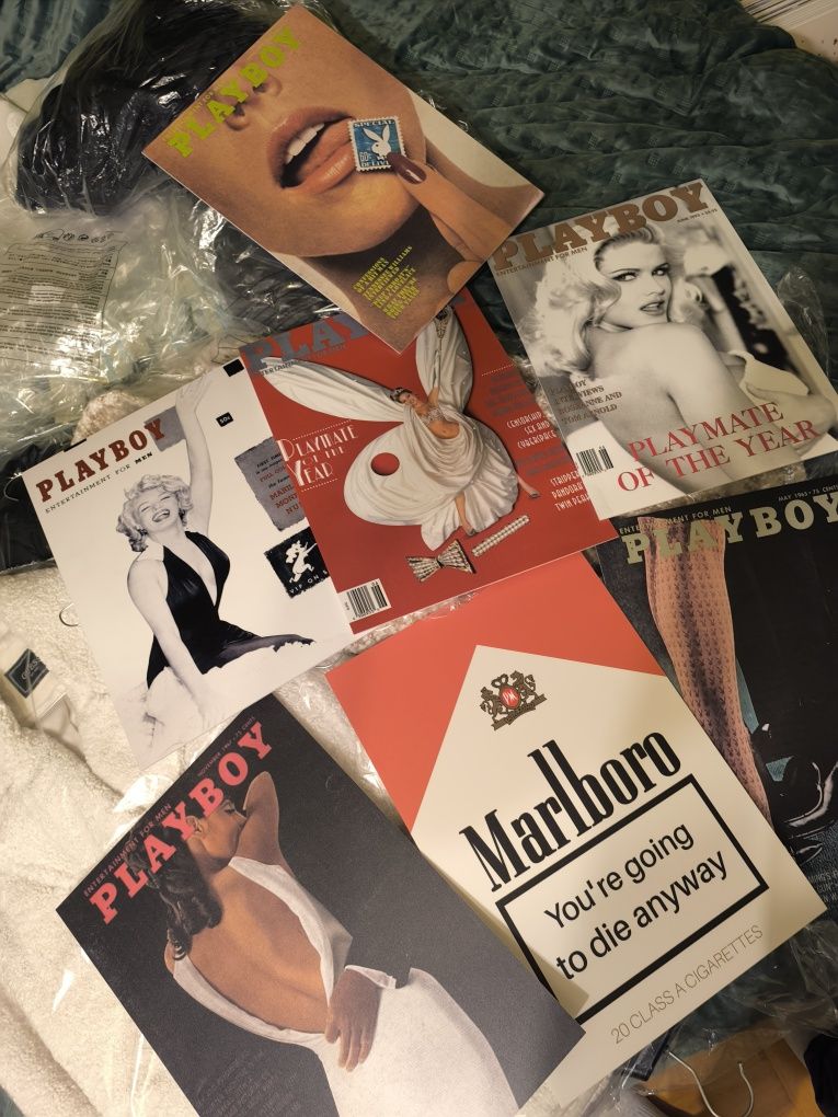 Zestaw plakatów playboy