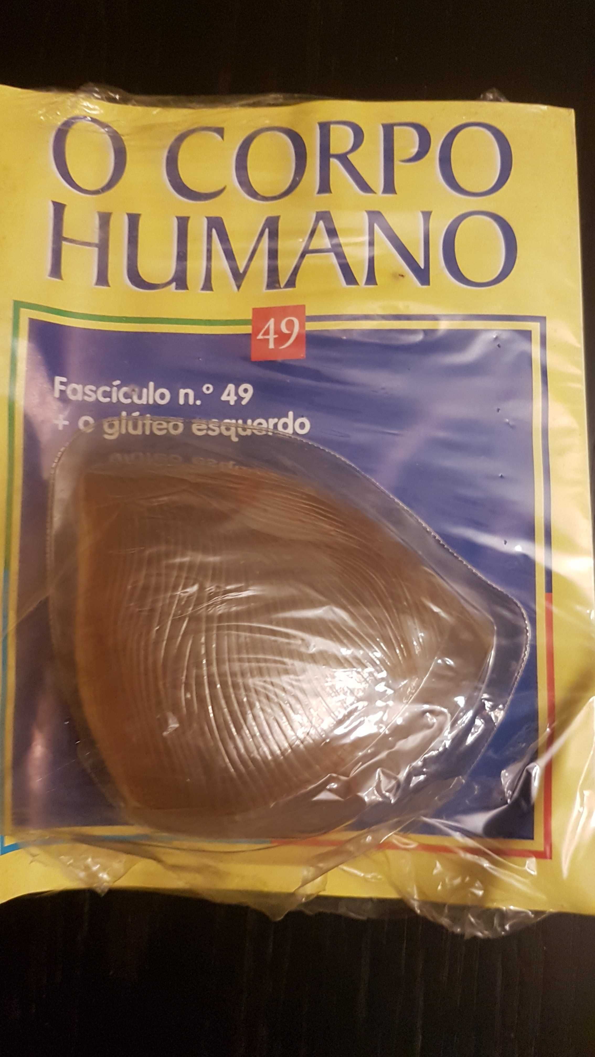 Fascículos e peças da Colecção do Corpo Humano