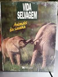Livro Vida Selvagem - Animais da Savana | Novo