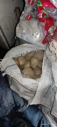 Продам картоплю ціна договірна