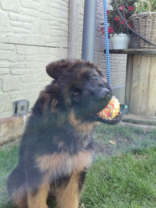 Piłka Gappay 6cm na sznurku 50cm