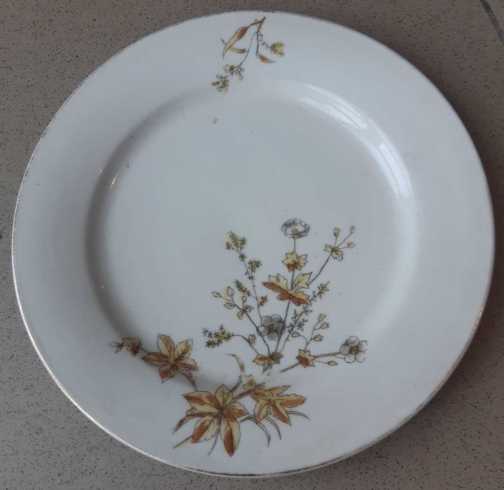 Prato Centenário Vista Alegre