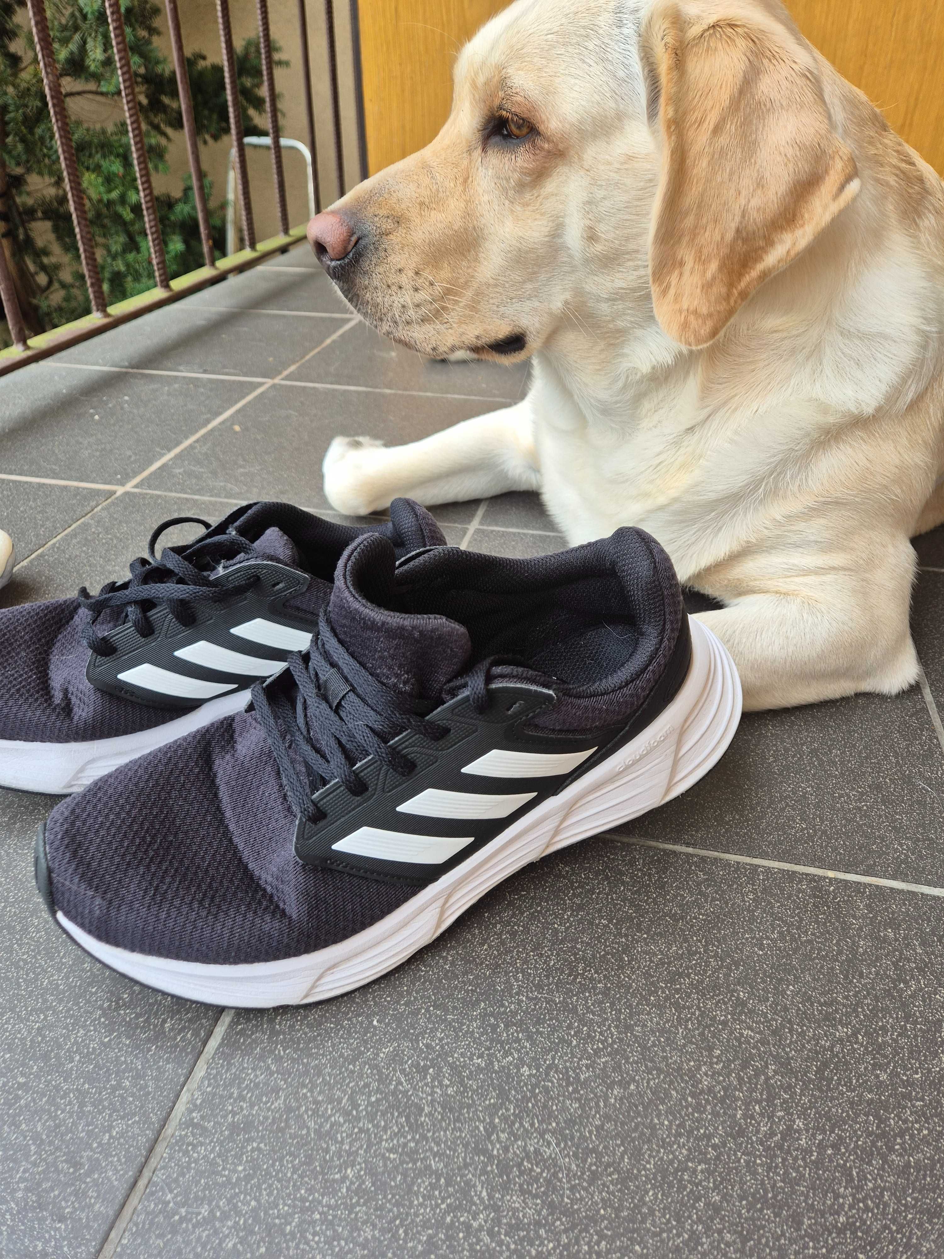 Sprzedam buty jak nowe Marki Adidas..polecam serdecznie