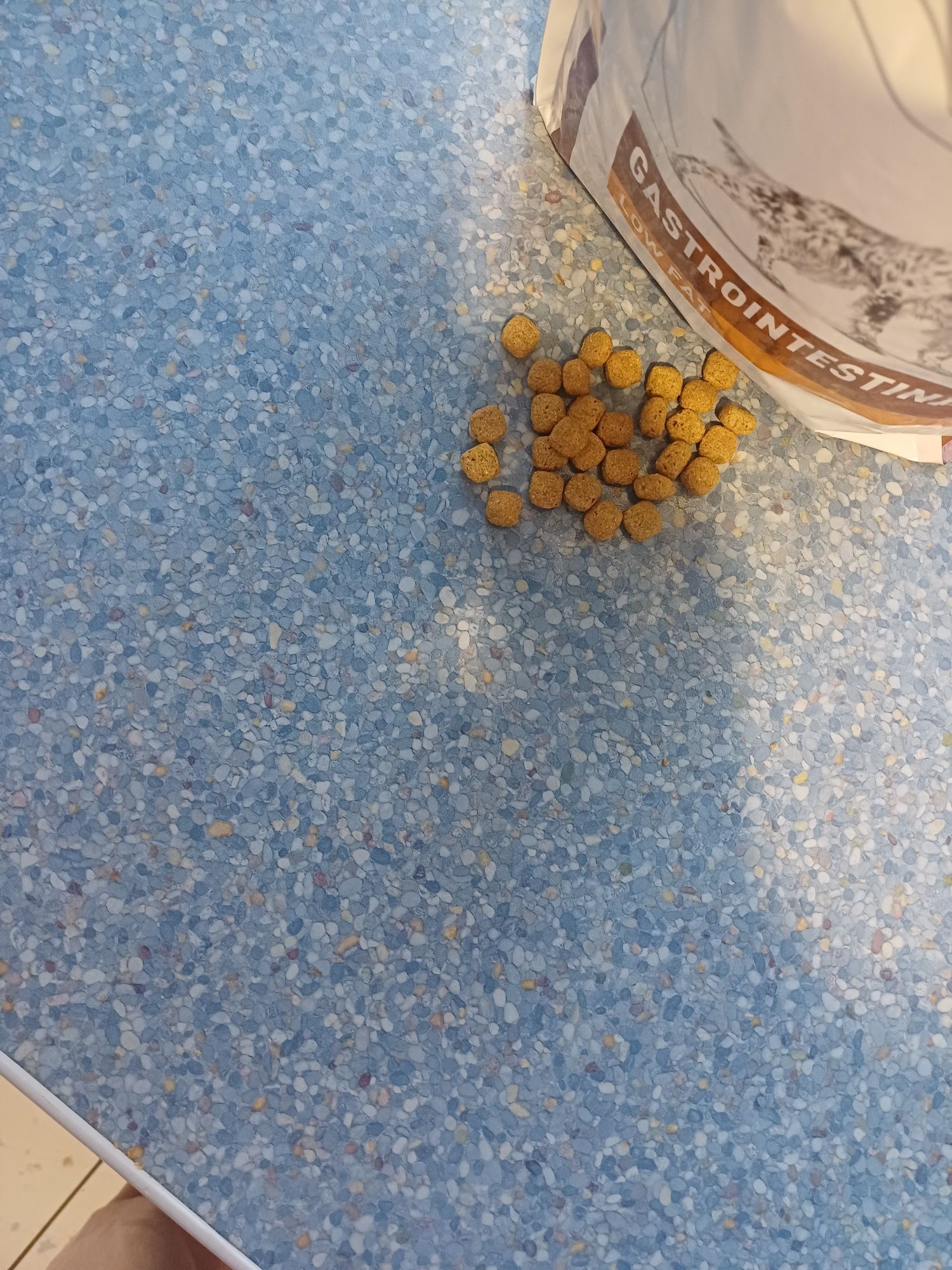 Royal canin gastrointestinal