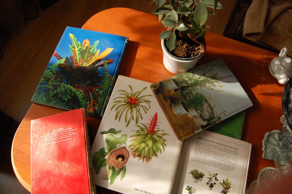 Kieszonkowa encyklopedia praktycznej uprawy roślin domowych.