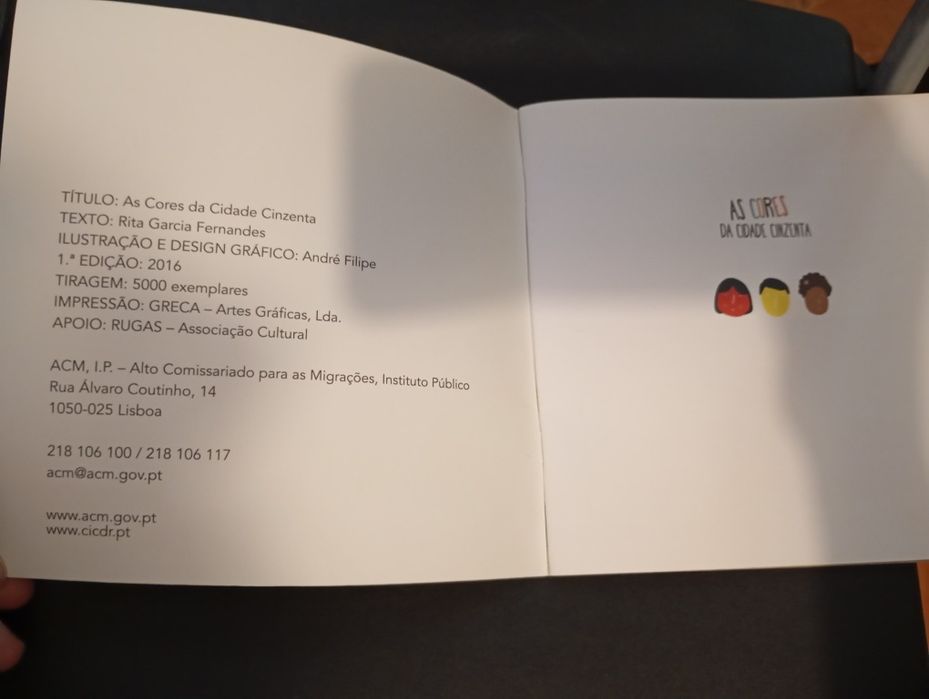 Livro " As cores da cidade cinzenta"