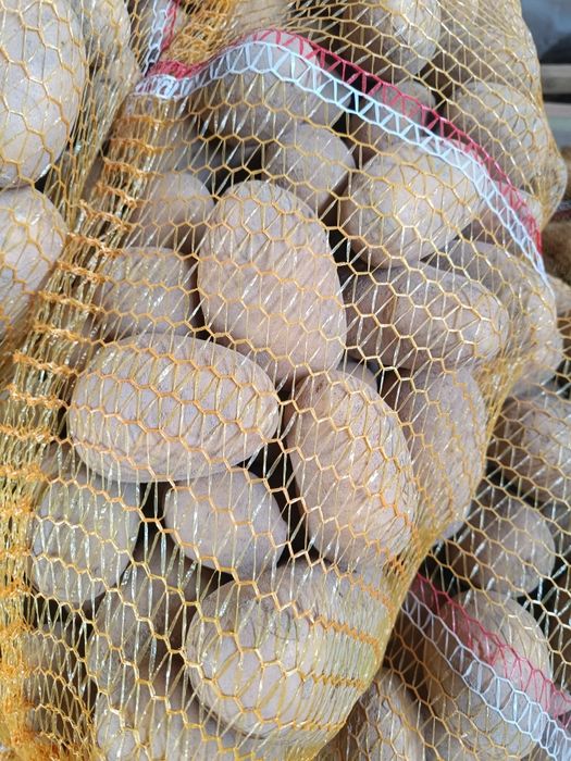 Sprzedam Ziemniaki Queen Anna i gala