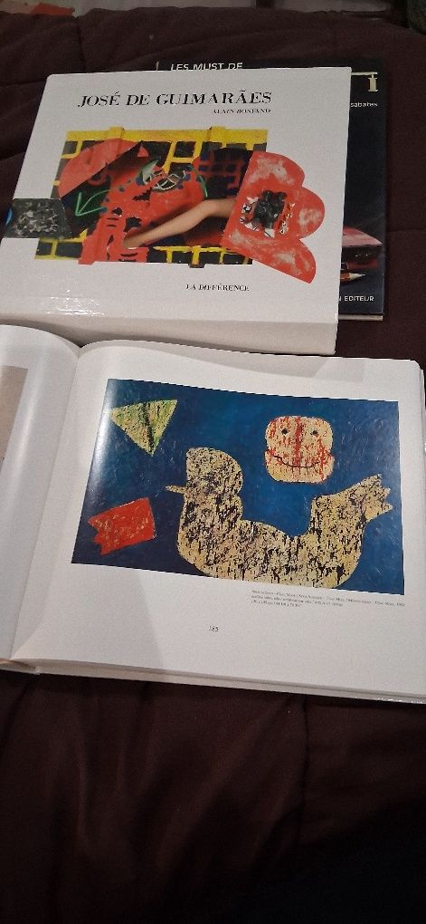 Livro jose de Guimarães