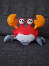 Krab zabawka dla dzieci