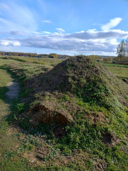 Oddam ziemię za darmo