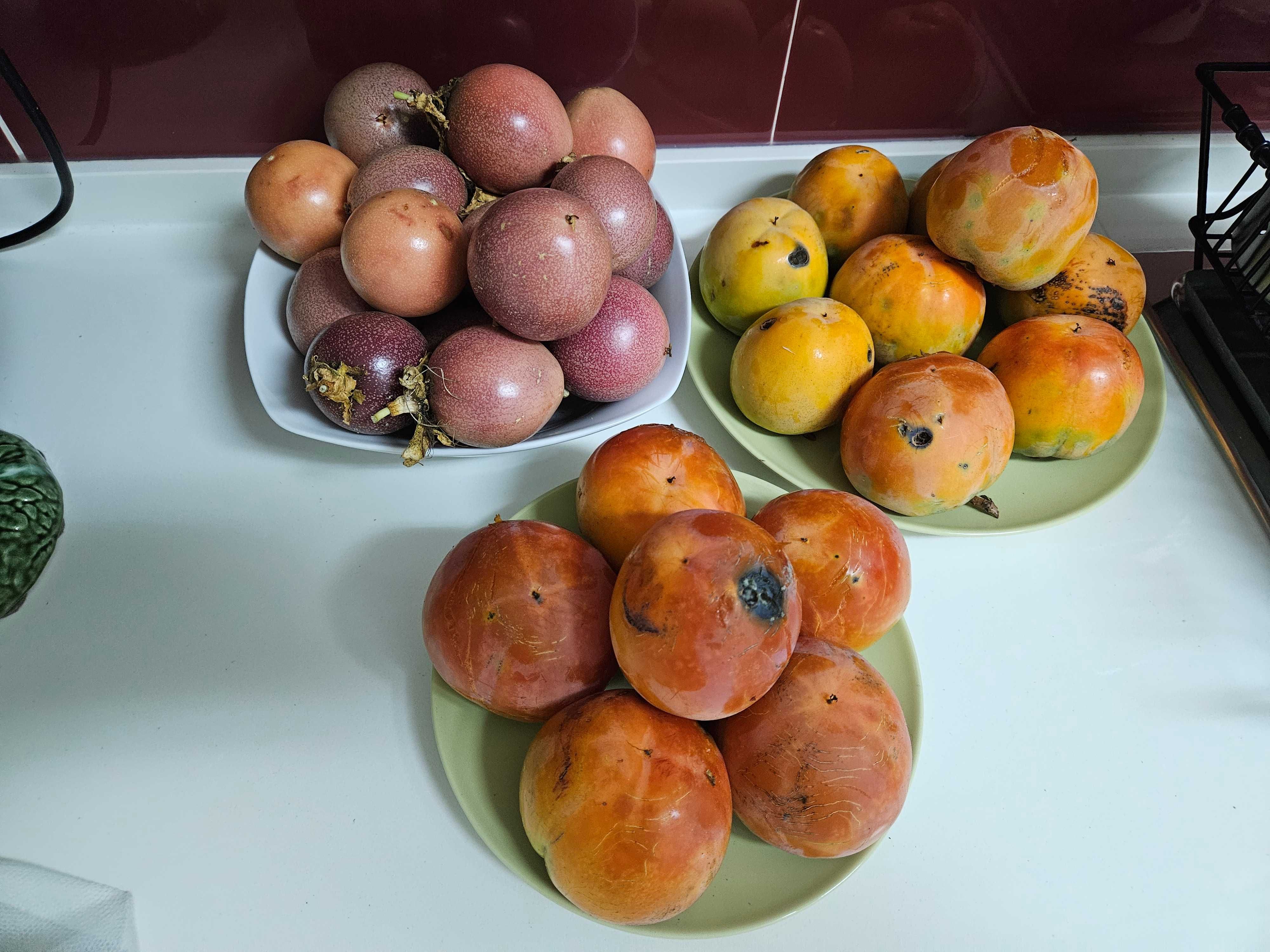 Aluga-se Quinta de produção agrícola - 2 Hectares - em PLENA produção