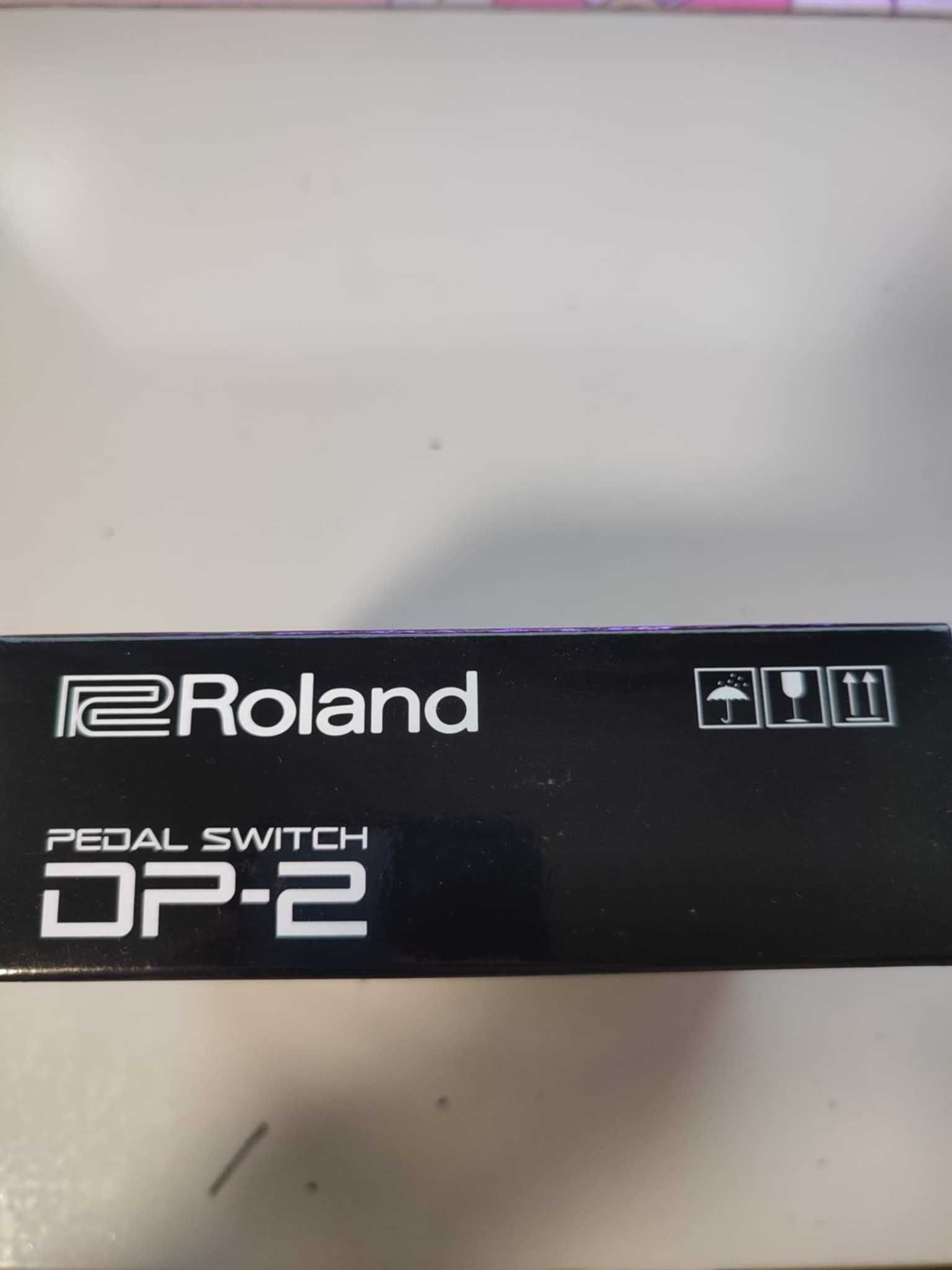 Pedal Switch DP-2 Roland