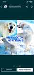 Golden Retriever- zapowiedź miotu- ok. 20 lipca 2025