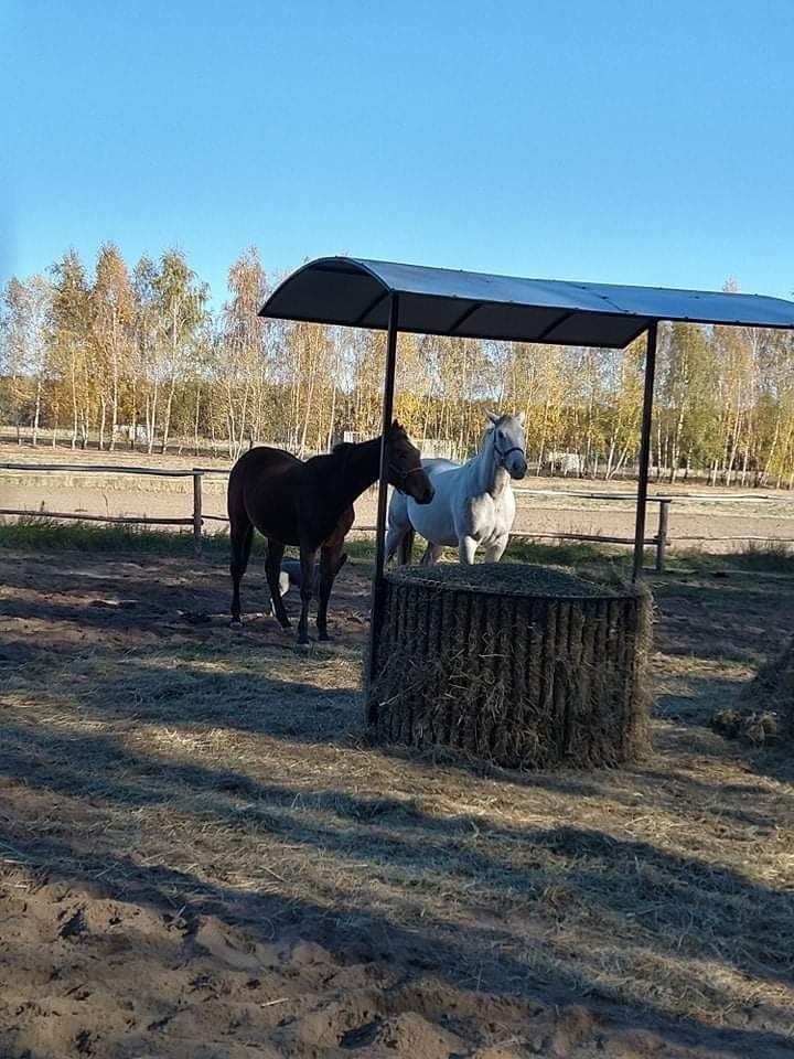 Paśnik na siano z zadaszeniem