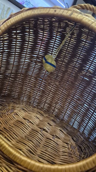 Transporter wiklinowy dla kota