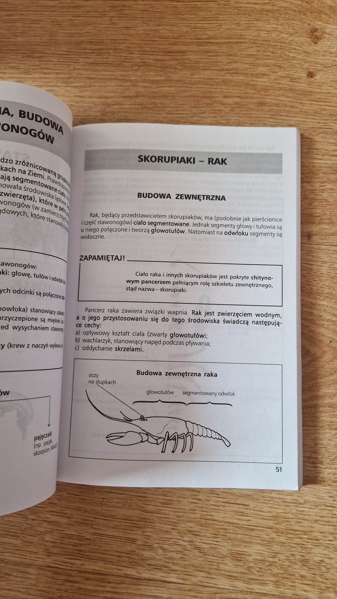 Biologia klasa 6 szkoła podstawowa Bogusława Urbanik Zbigniew Urbanik