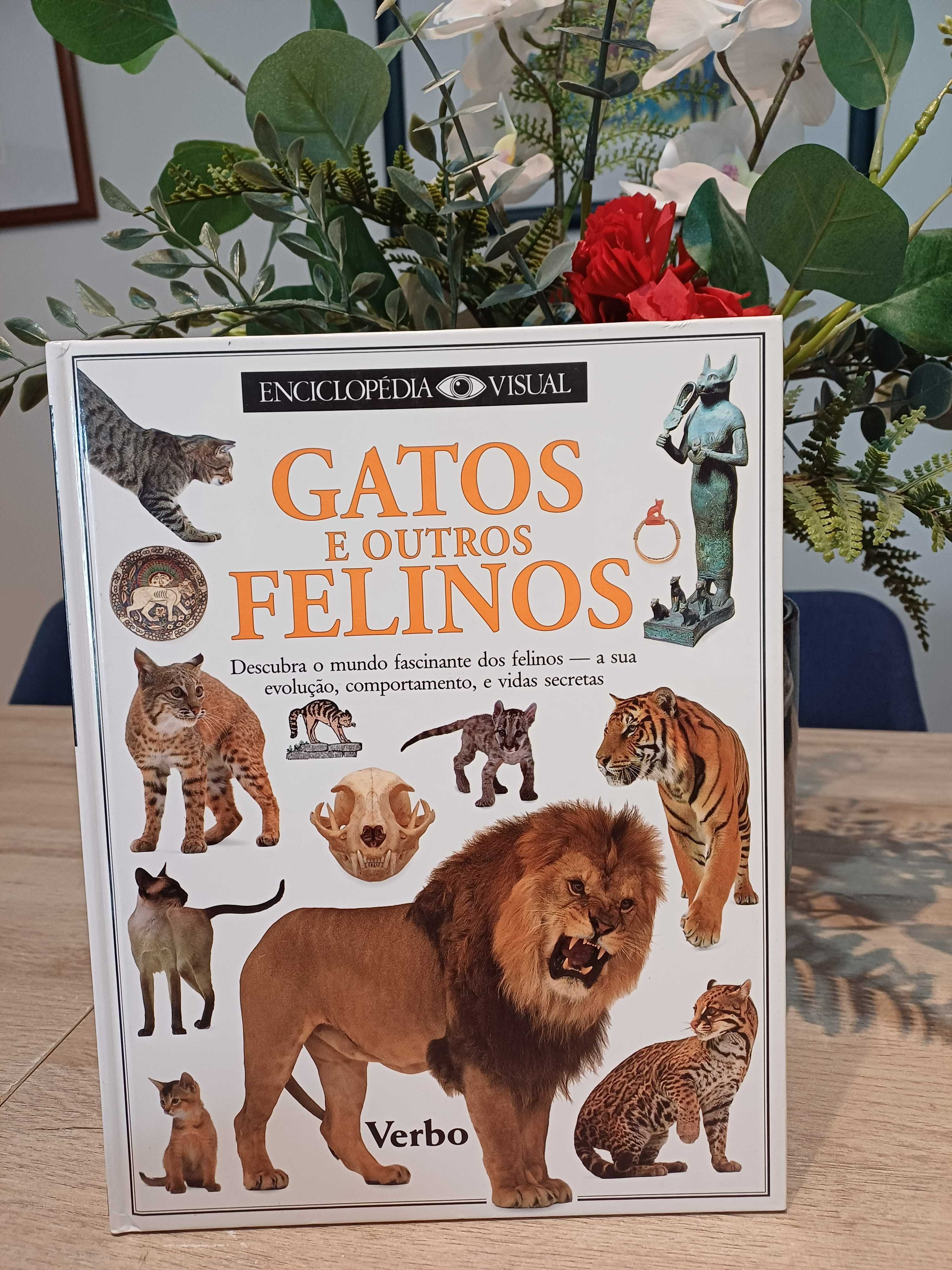 Enciclopédia Visual - Gatos e Outros Felinos