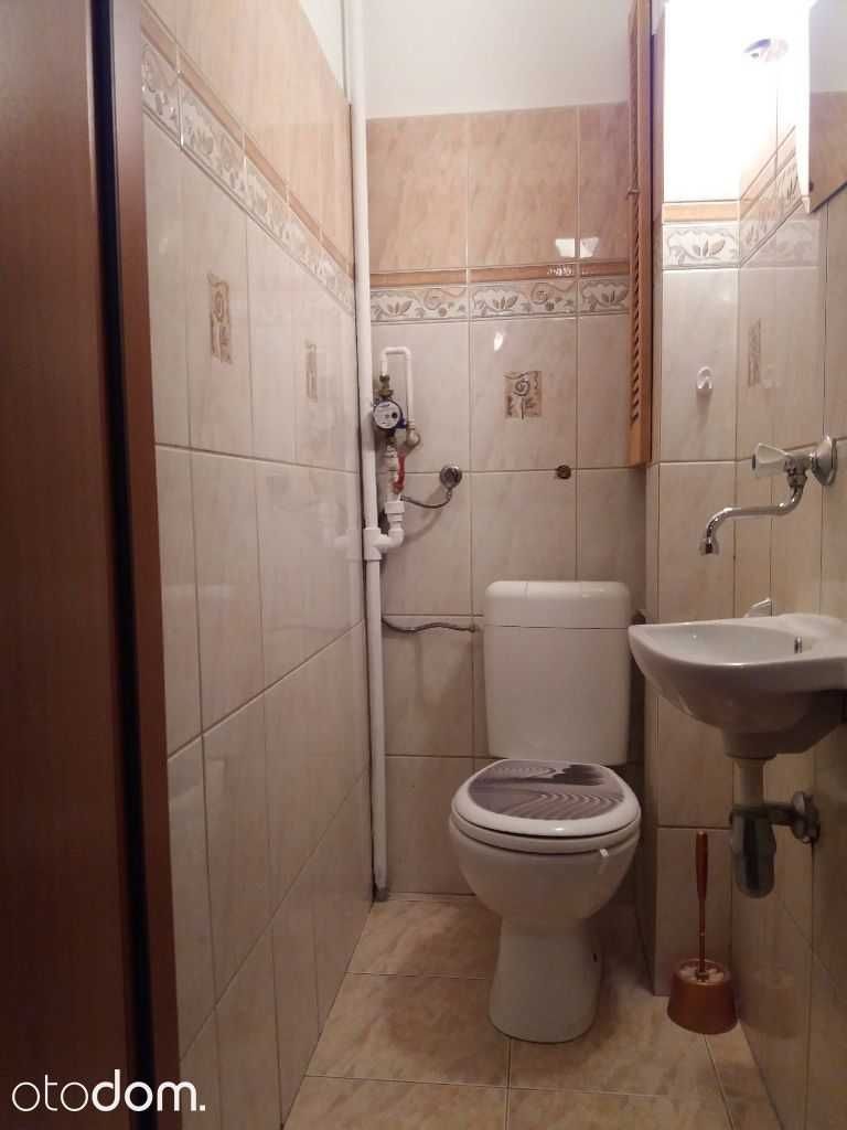 Poznań Dębiec,  Pokój, pokoje  na wynajem 800 zł