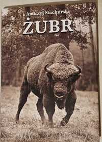 Album "Żubr" Andrzej Stachurski
