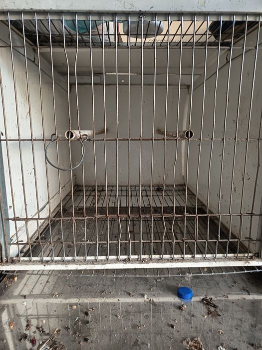 Gaiola ideal para criar à mão