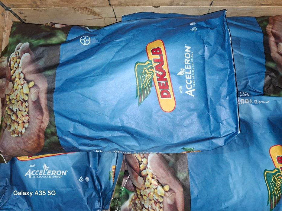 Кукуруза дкс 3972