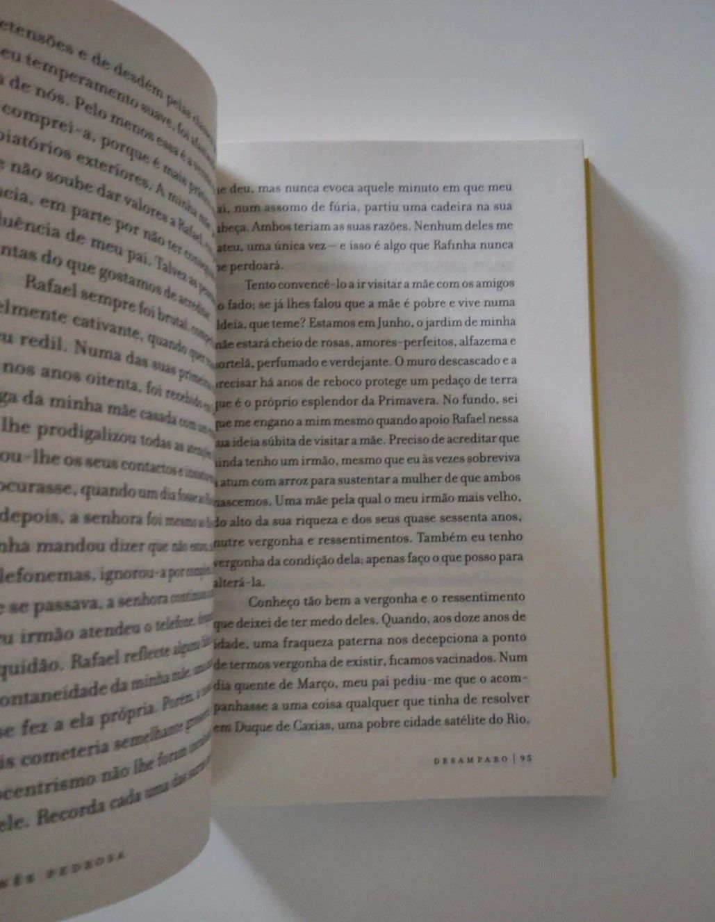 Livro Desamparo de Inês Pedrosa