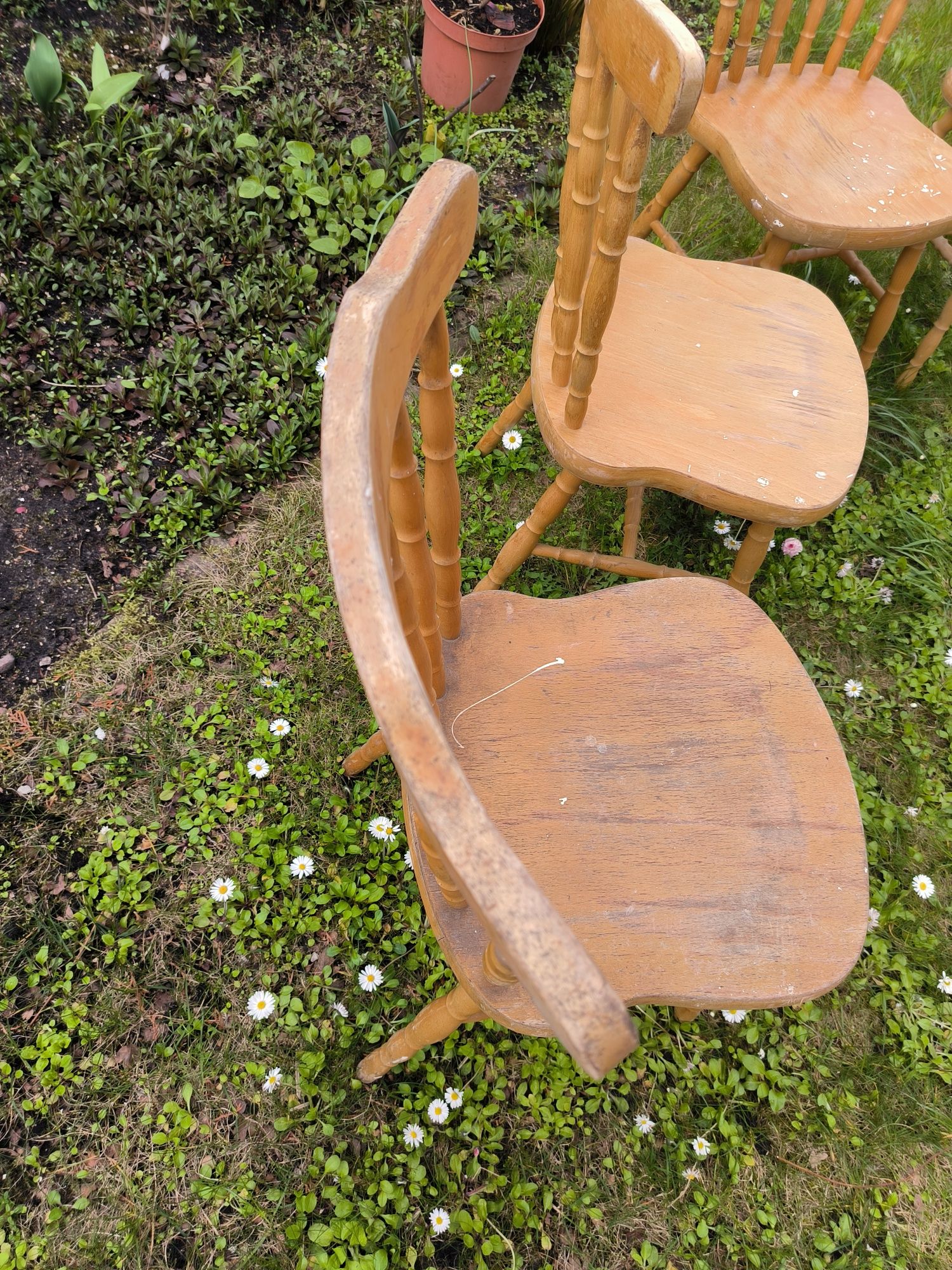Krzesła drewniane holenderskie 4 szt do renowacji
