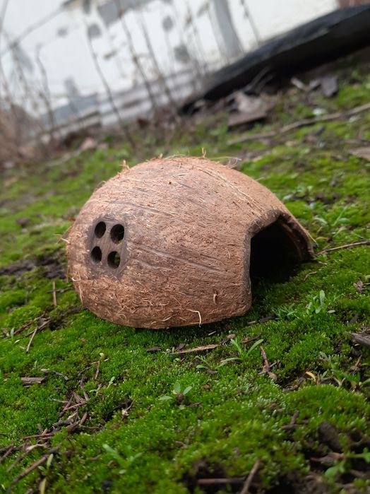 Домик для хомяка "Кокос"