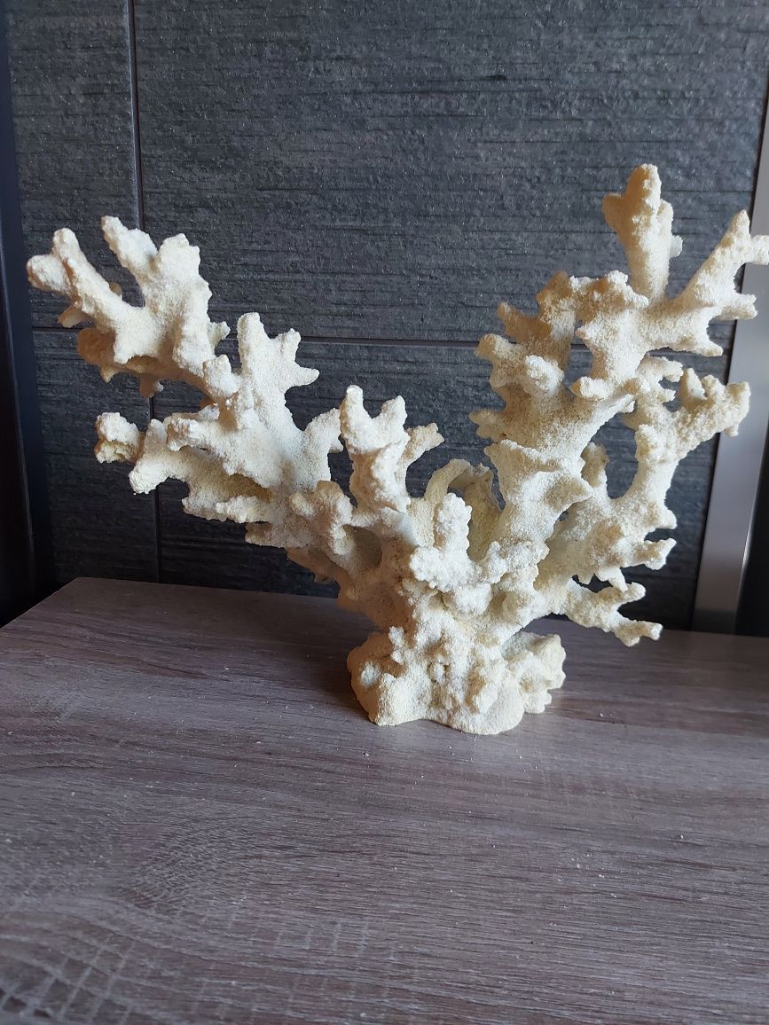 Coral decorativo