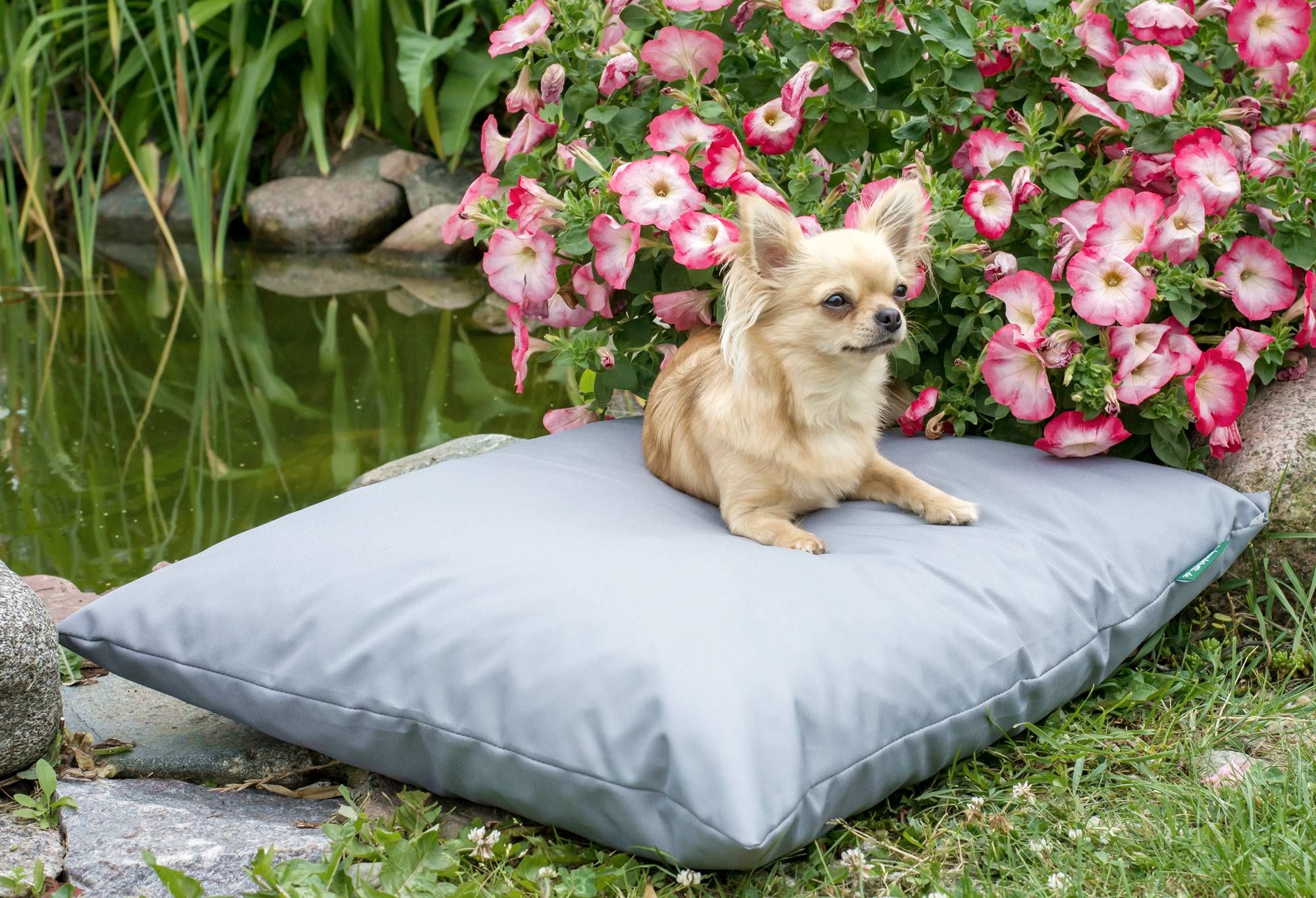 Wodoodporne legowisko poduszka dla psa ZOE (80x60 cm, Szary)