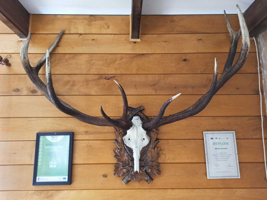 TWÓJ RAJ- Apartament /Pokoje* 30 km Białowieża* 2 km Zalew Siemianówka