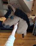 Hobby horse konik typu finland