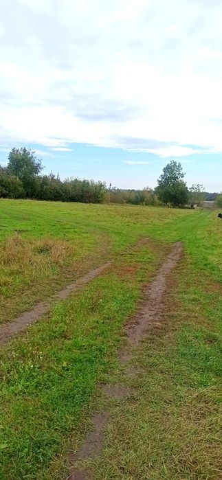 Продам землю промислового призначення