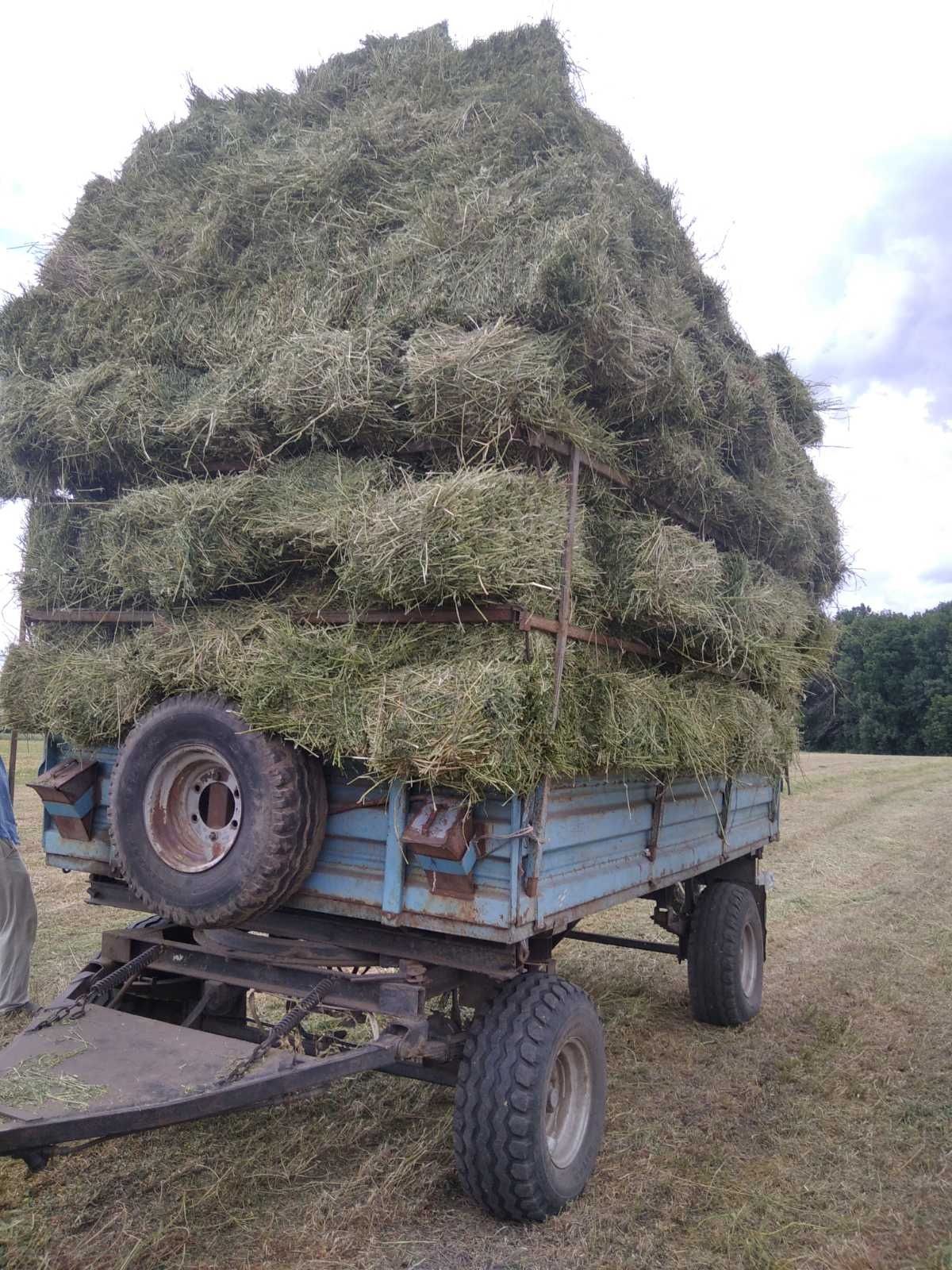 Продам сіно лугове , люцерна , хорошої якості в тюках