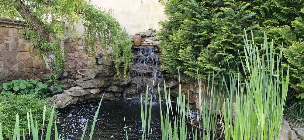 Продаж чудового будинку поруч з сосновим лісом с.Гореничі