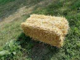 Тюкі соломи,цьогорічна