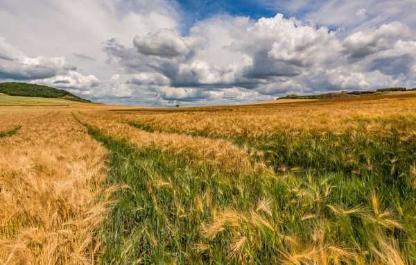 Продам 4,6 га, Черкаська область, чорнозем