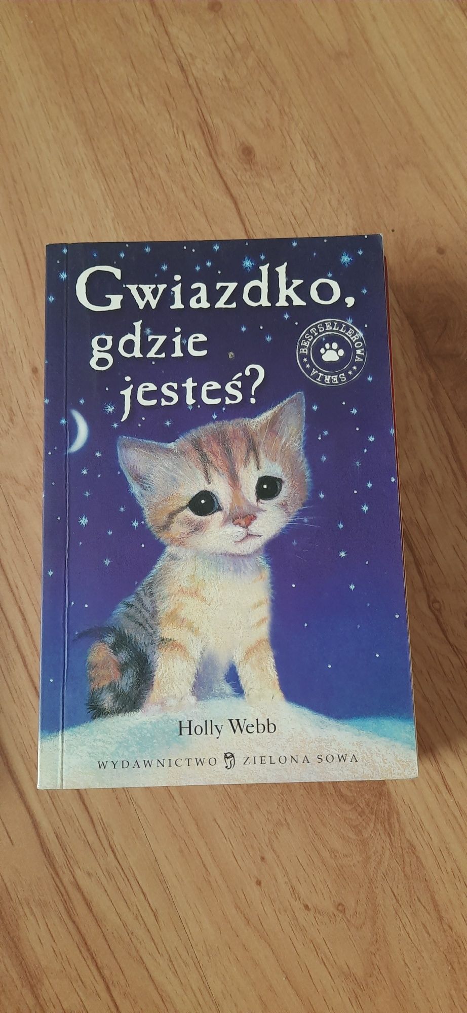 Książka dla dzieci Holly Webb